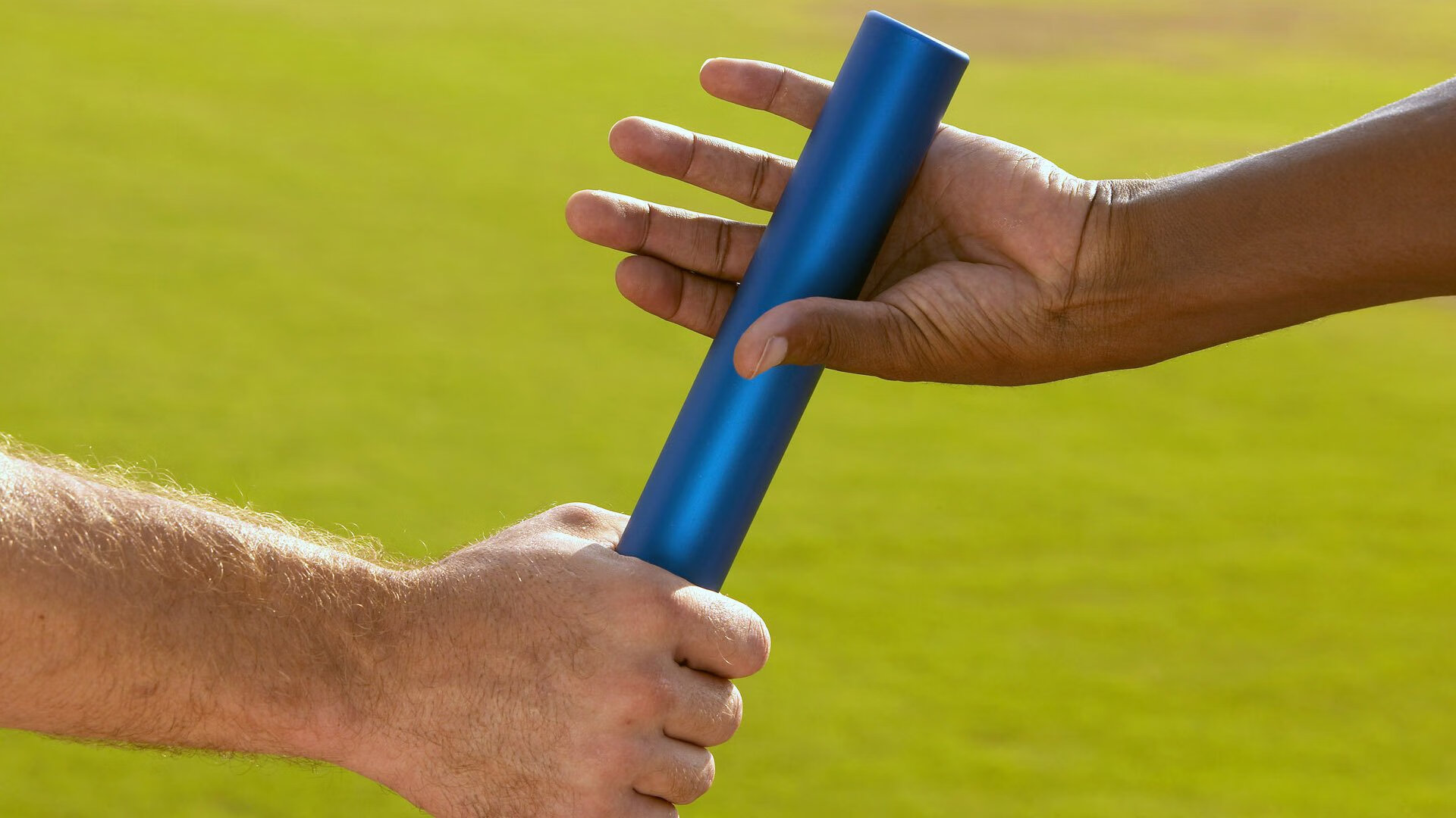 体育新闻年度回顾